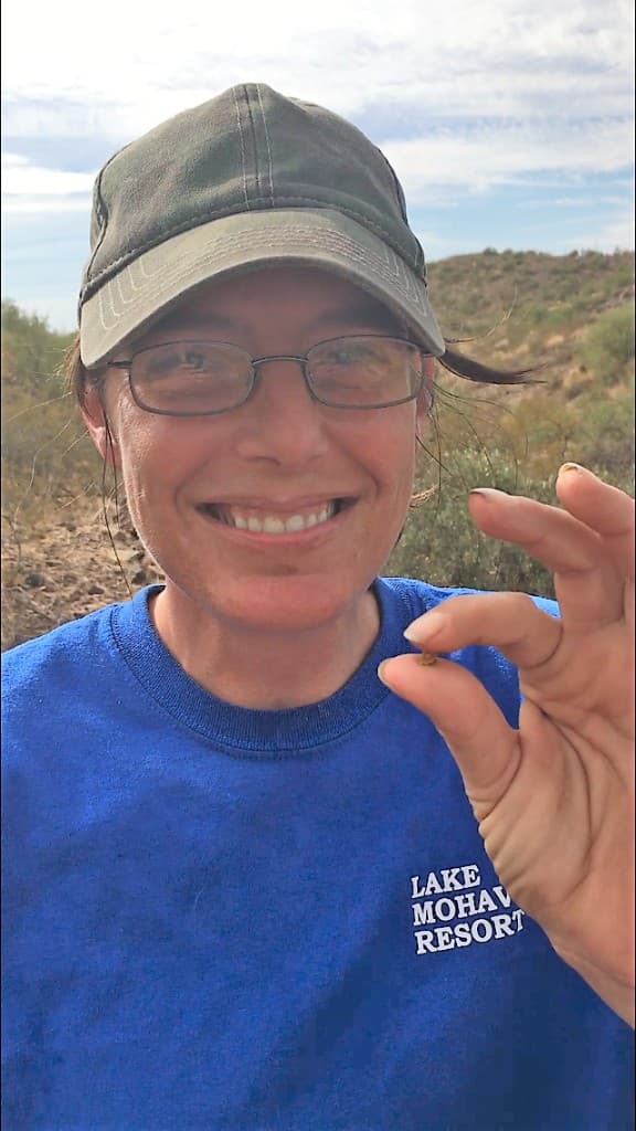 Attendee holding up a gold nugget found in the Arizona desert