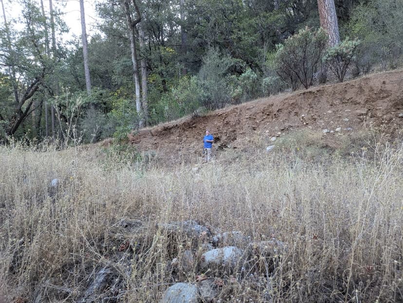 Reading an exposed bank of gold-bearing gravel